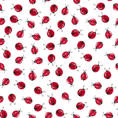 Image Not Available
